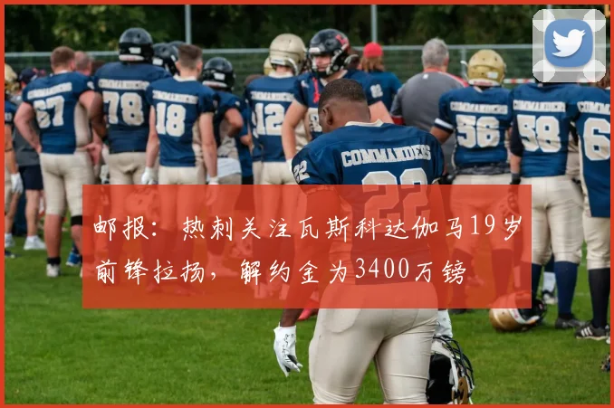 邮报：热刺关注瓦斯科达伽马19岁前锋拉扬，解约金为3400万镑