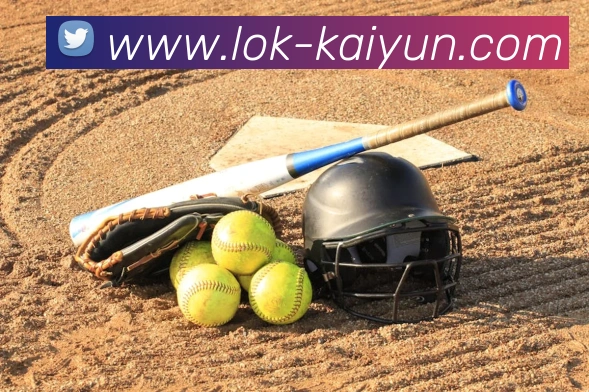 开云平台生态图