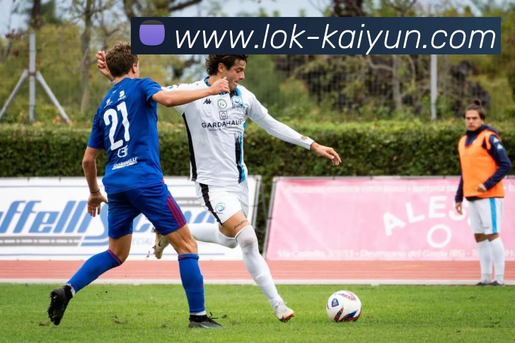 开云全站App 开云全站App